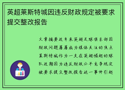 英超莱斯特城因违反财政规定被要求提交整改报告